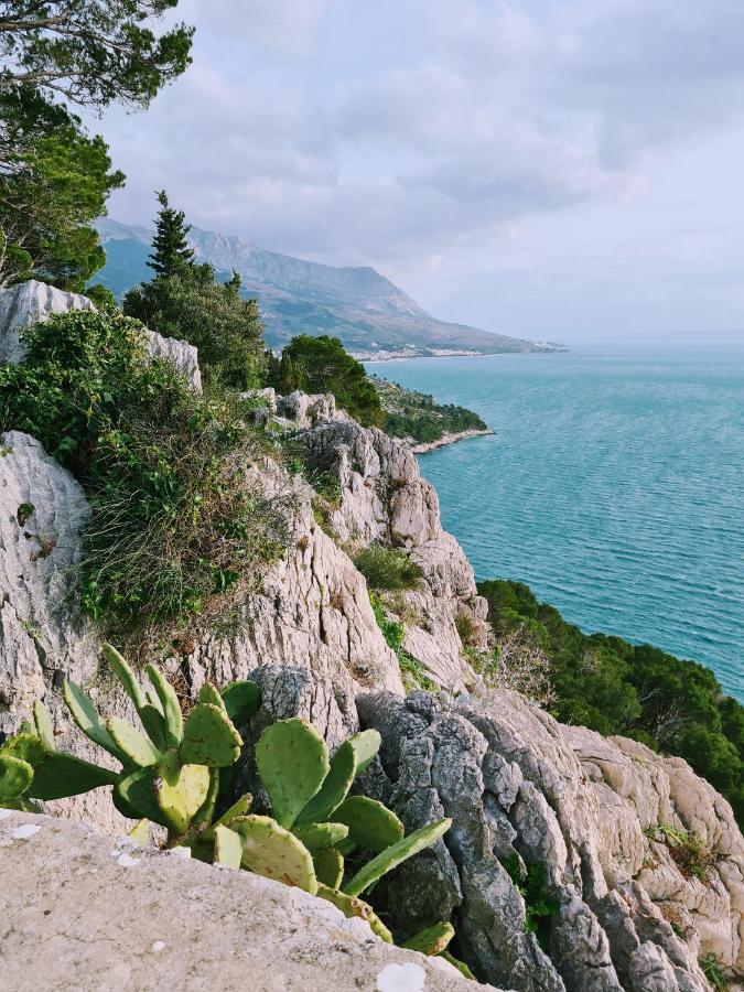 Apartment Ivona With Beautiful Seaview Makarska Exterior photo